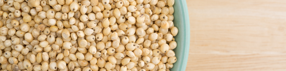 Comment cuisiner le sorgho et le millet ?