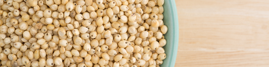 Comment cuisiner le sorgho et le millet ?