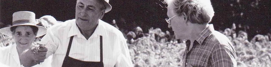 Les bienfaits du millet pour votre santé