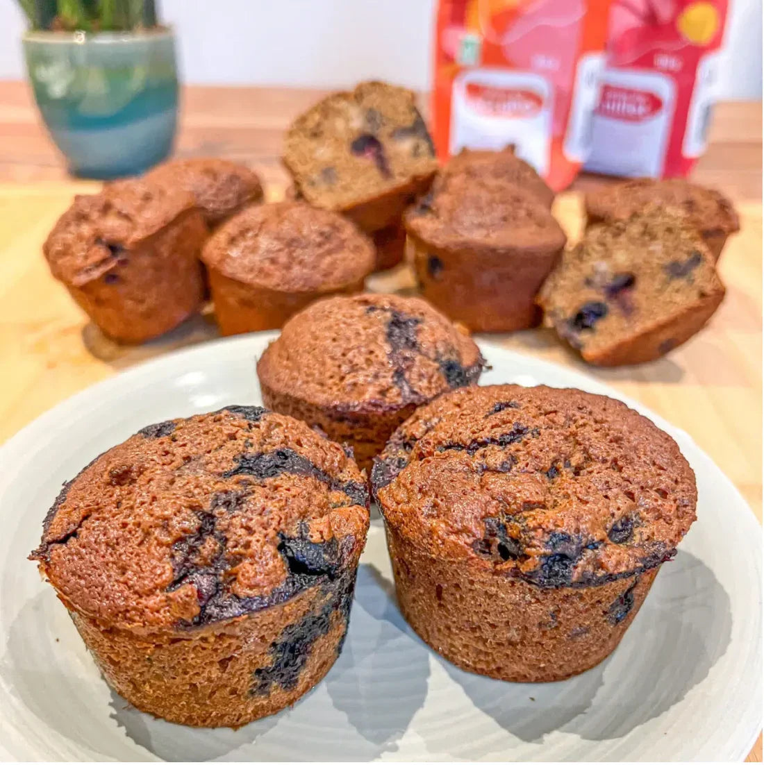 Muffins aux myrtilles, farine de sorgho et millet