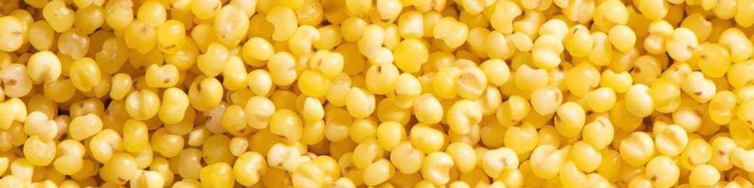 Quelles sont les différentes familles "des millets" ?