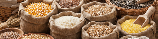 La liste des céréales sans gluten