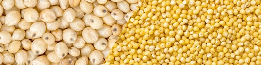 Quelles sont les origines du sorgho et du millet ?