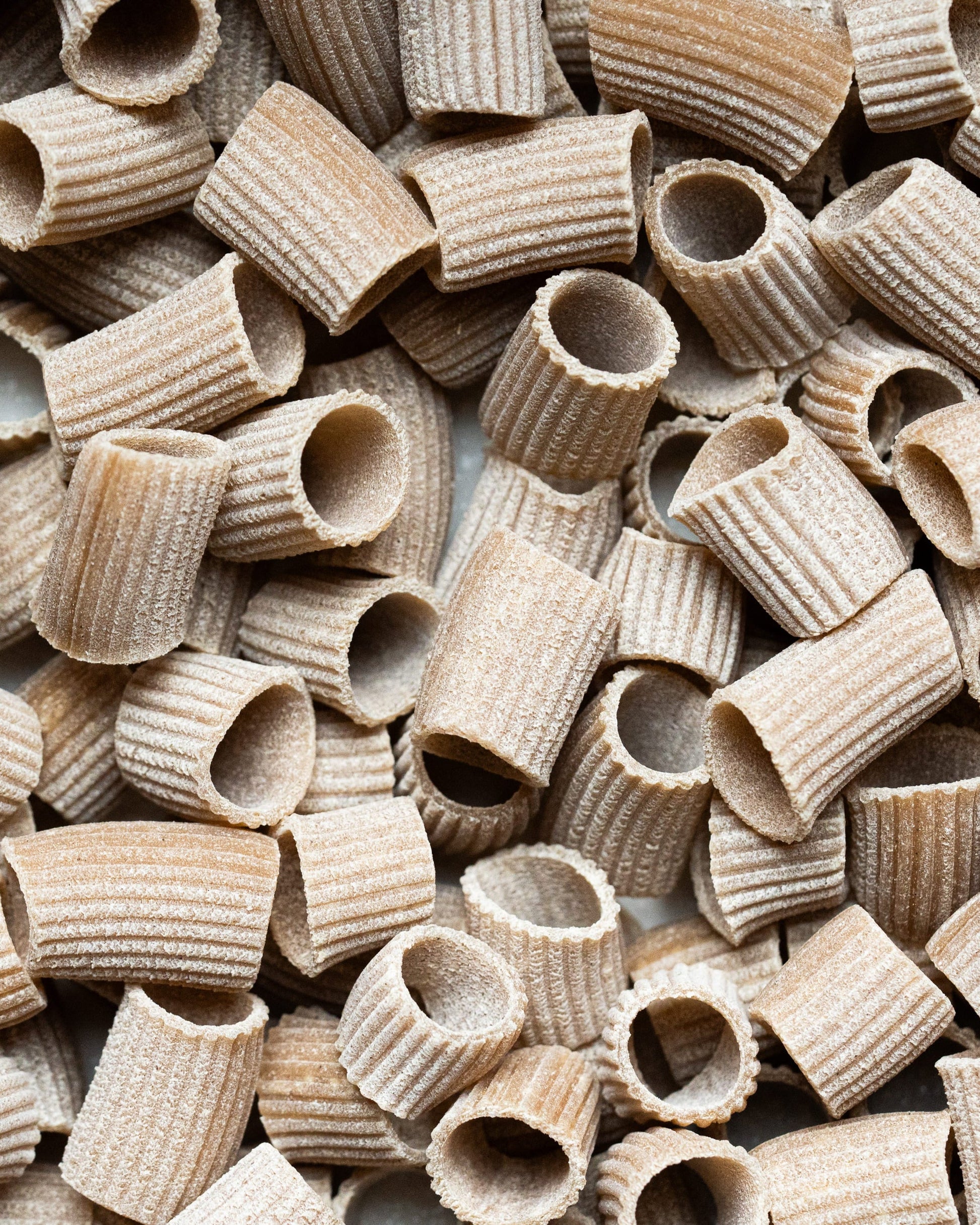 pâtes sans gluten de sorgho extrudé au bronze nutriscore A bio