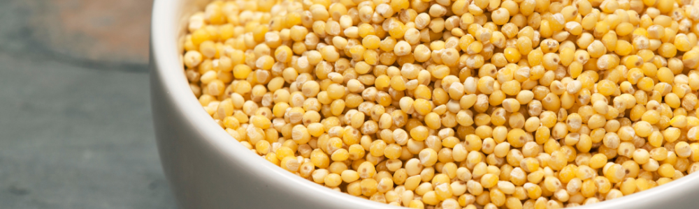 Cuire parfaitement le millet Cuire parfaitement le millet